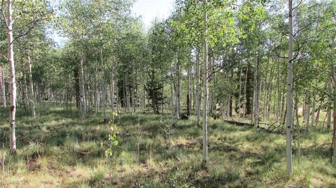167 Arrowhead Dr, Como, CO 80432 photo 9