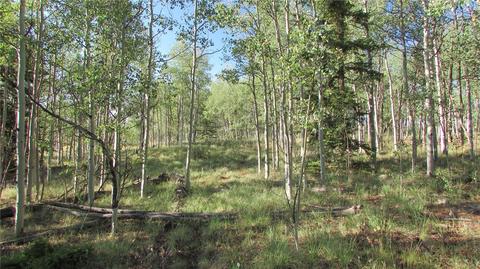 167 Arrowhead Dr, Como, CO 80432 photo 7