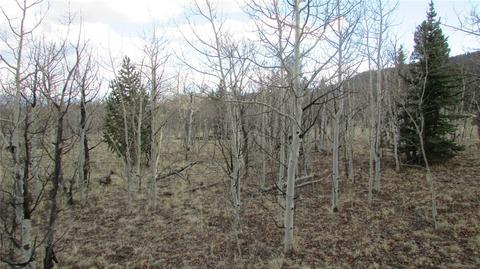 1319 Wampum Ln, Como, CO 80432 photo 8