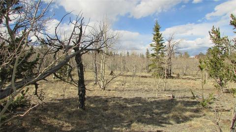 1319 Wampum Ln, Como, CO 80432 photo 12