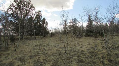 1319 Wampum Ln, Como, CO 80432 photo 5