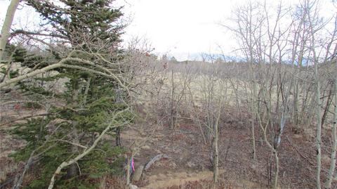 1319 Wampum Ln, Como, CO 80432 photo 10