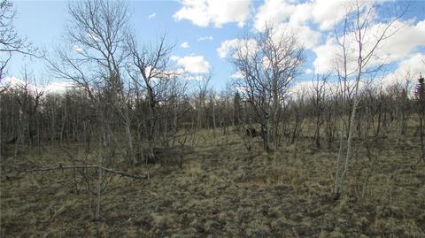 1319 Wampum Ln, Como, CO 80432 photo 6