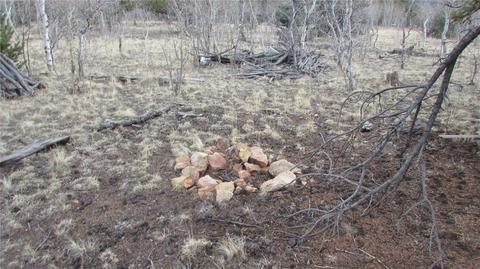 1319 Wampum Ln, Como, CO 80432 photo 3