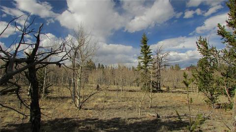 1319 Wampum Ln, Como, CO 80432 photo 1