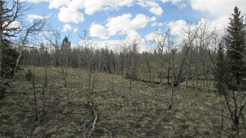 1319 Wampum Ln, Como, CO 80432 photo 2