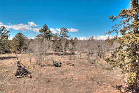626 Ute Trl, Como, CO 80432 photo 23