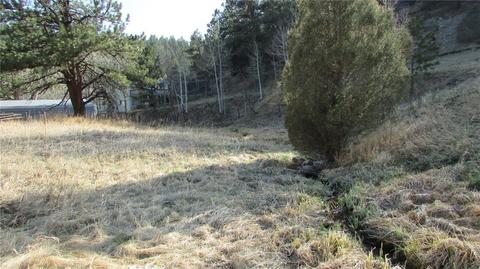 53 Wisp Ln, Bailey, CO 80475 photo 5