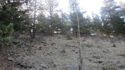 53 Wisp Ln, Bailey, CO 80475 photo 9