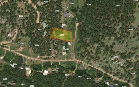 53 Wisp Ln, Bailey, CO 80475 photo 13