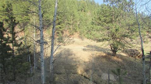 53 Wisp Ln, Bailey, CO 80475 photo 11