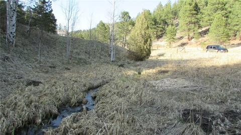 53 Wisp Ln, Bailey, CO 80475 photo 6