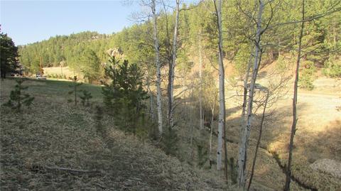 53 Wisp Ln, Bailey, CO 80475 photo 7