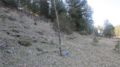 53 Wisp Ln, Bailey, CO 80475 photo 10