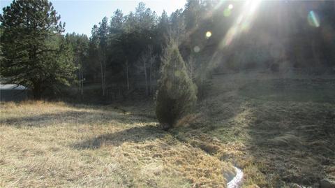 53 Wisp Ln, Bailey, CO 80475 photo 3