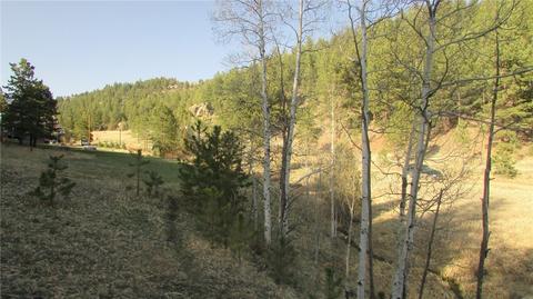 53 Wisp Ln, Bailey, CO 80475 photo 8