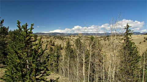 170 Arland Rd, Como, CO 80432 photo 10