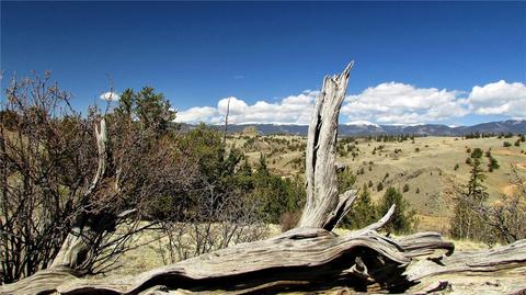 170 Arland Rd, Como, CO 80432 photo 1