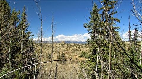 170 Arland Rd, Como, CO 80432 photo 13