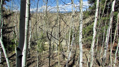 170 Arland Rd, Como, CO 80432 photo 14