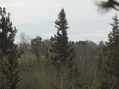 7781 Remington Rd, Como, CO 80432 photo 16