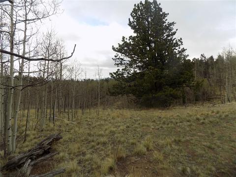 7781 Remington Rd, Como, CO 80432 photo 2