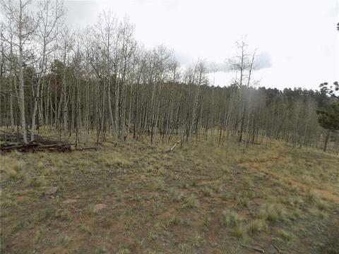 7781 Remington Rd, Como, CO 80432 photo 8