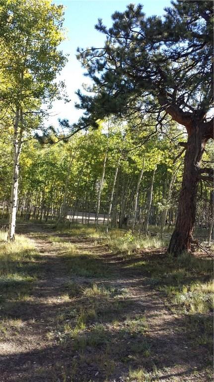7781 Remington Rd, Como, CO 80432 photo 17
