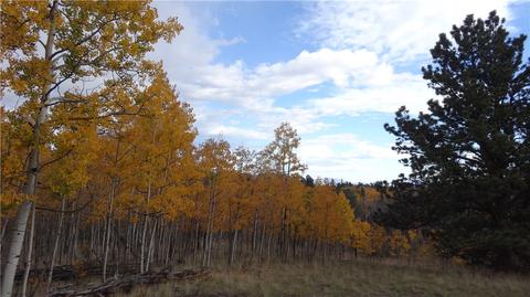 7781 Remington Rd, Como, CO 80432 photo 7