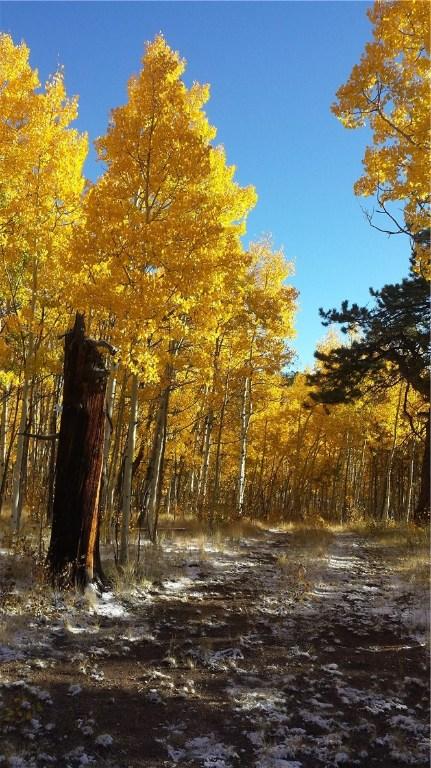7781 Remington Rd, Como, CO 80432 photo 1
