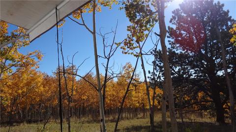 7781 Remington Rd, Como, CO 80432 photo 14