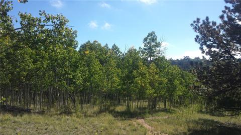 7781 Remington Rd, Como, CO 80432 photo 4
