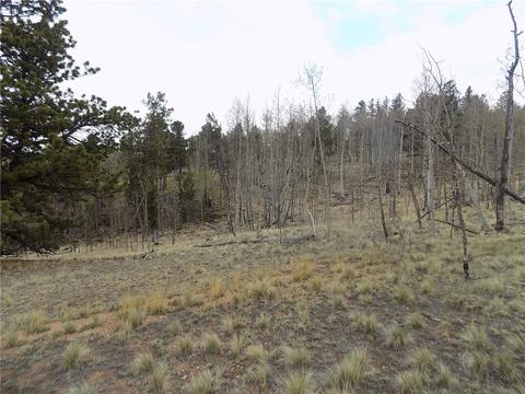 7781 Remington Rd, Como, CO 80432 photo 12