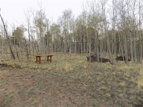 7781 Remington Rd, Como, CO 80432 photo 5