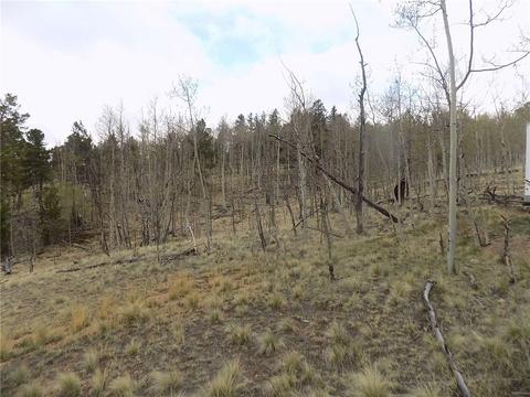 7781 Remington Rd, Como, CO 80432 photo 11