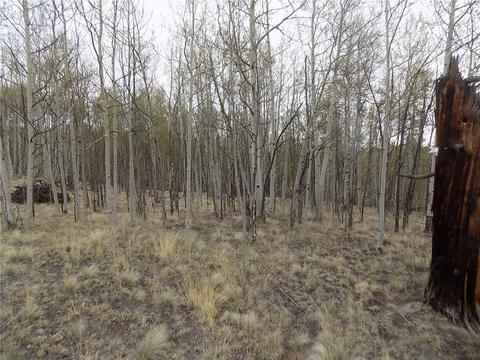 7781 Remington Rd, Como, CO 80432 photo 6