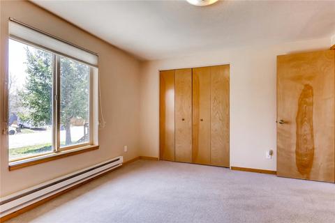 472 Cascade Cir, Silverthorne, CO 80498 photo 15