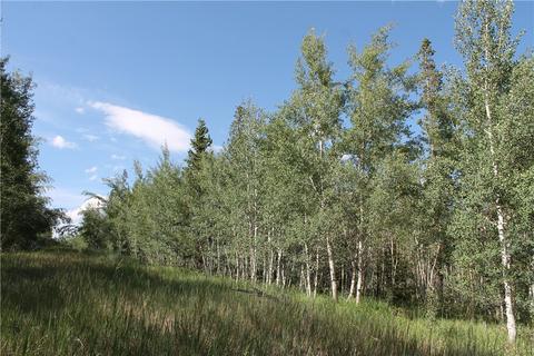 154 Solomons Ln, Silverthorne, CO 80498 photo 1