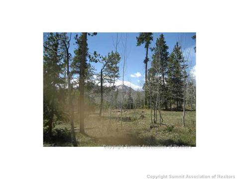 154 Solomons Ln, Silverthorne, CO 80498 photo 12