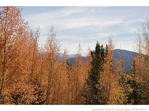 154 Solomons Ln, Silverthorne, CO 80498 photo 7
