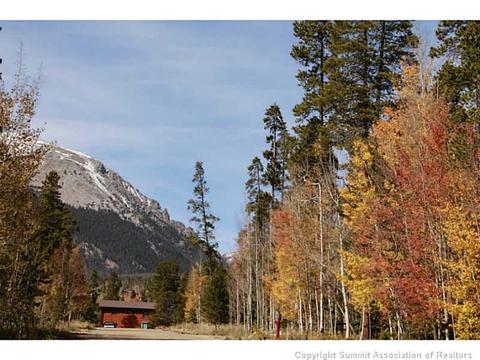 154 Solomons Ln, Silverthorne, CO 80498 photo 4