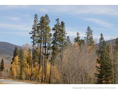 154 Solomons Ln, Silverthorne, CO 80498 photo 10