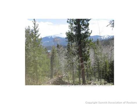 154 Solomons Ln, Silverthorne, CO 80498 photo 11