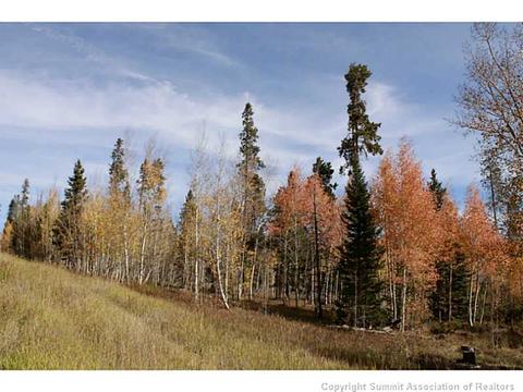 154 Solomons Ln, Silverthorne, CO 80498 photo 2