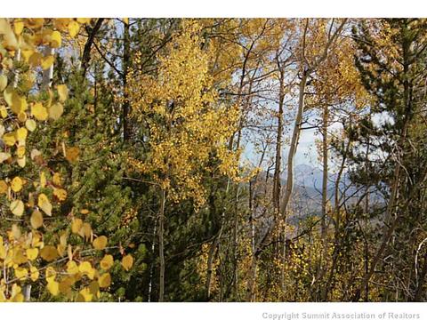 154 Solomons Ln, Silverthorne, CO 80498 photo 6