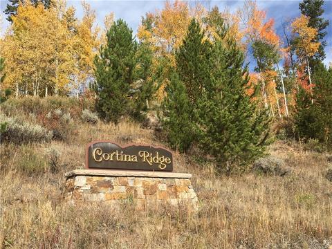 154 Solomons Ln, Silverthorne, CO 80498 photo 13