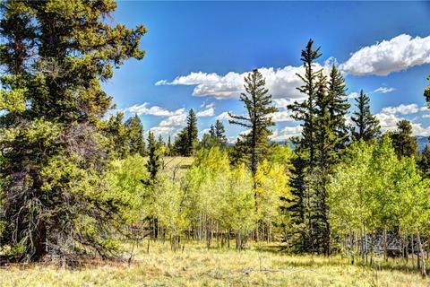 1217 Teton Trl, Como, CO 80432 photo 13