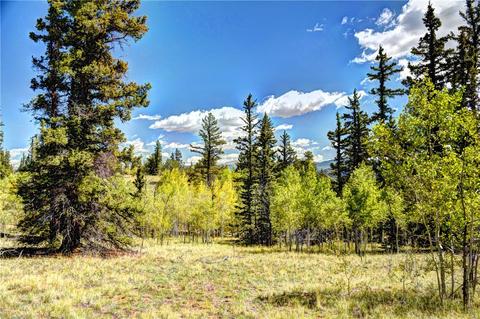 1217 Teton Trl, Como, CO 80432 photo 12