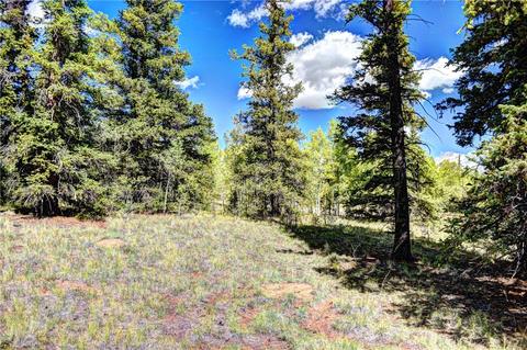 1217 Teton Trl, Como, CO 80432 photo 8