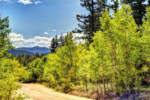 1217 Teton Trl, Como, CO 80432 photo 14